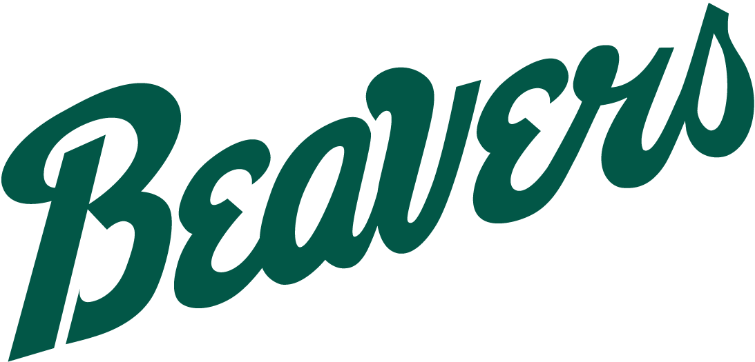 Bemidji State Beavers 2004-Pres Wordmark Logo t shirts DIY iron ons